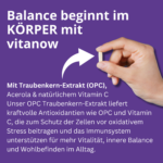 OPC Grape Seed Extract Capsules - Image 2